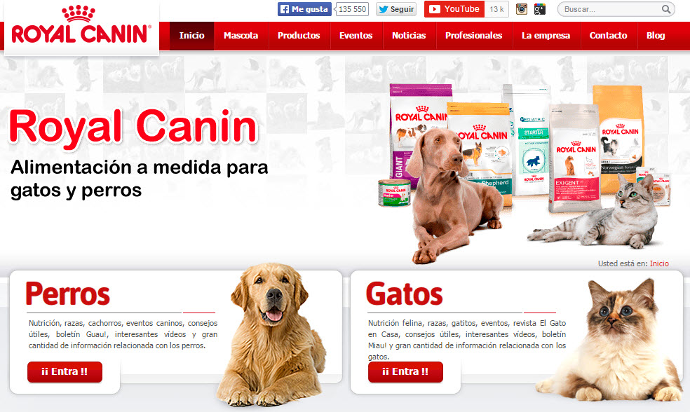 royal canin opiniones