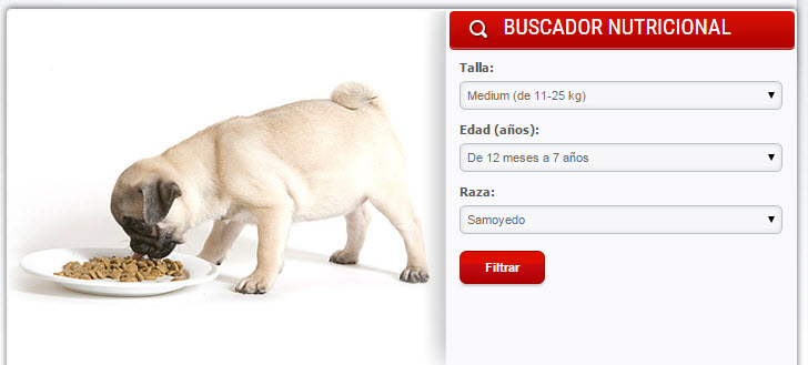 royal canin perros