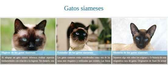 Razas de gatos siameses