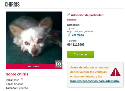 Razas de perros pequeños