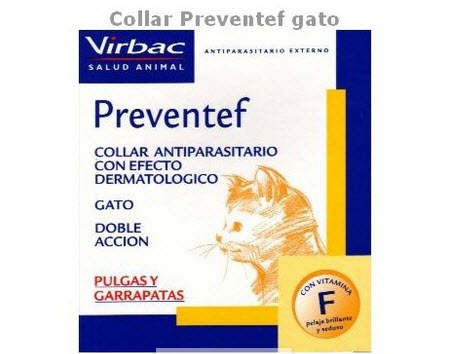 collares antiparasitos para gatos