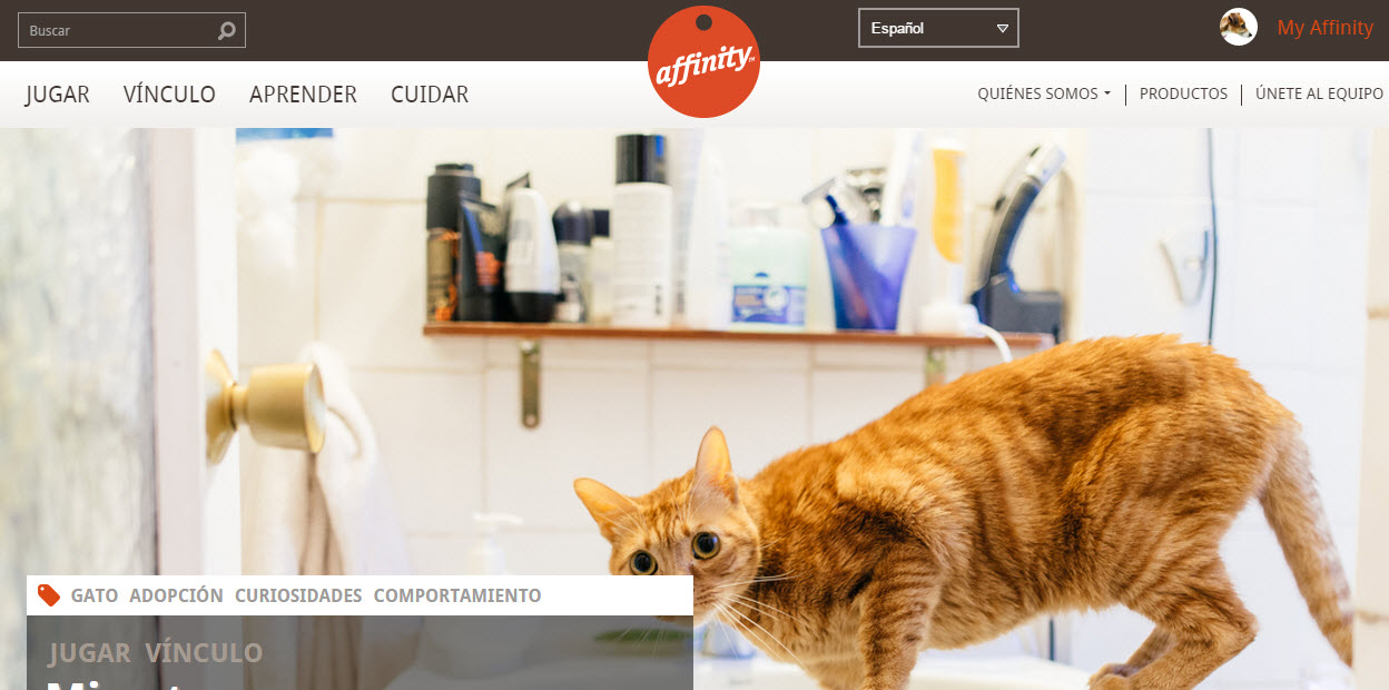 affinity petcare opiniones