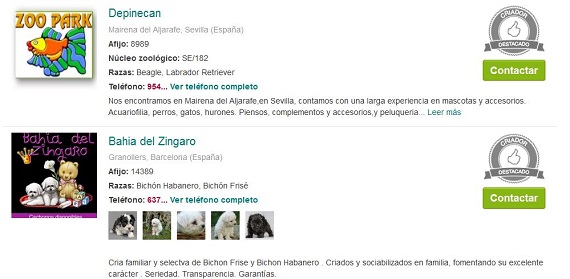 Mundoanimalia perros