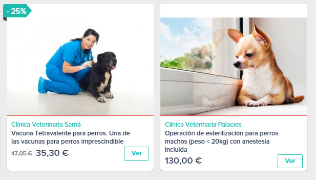 servicios veterinarios para perros España