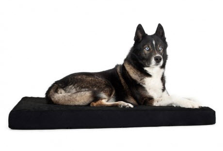 camas ortopedicas para perros