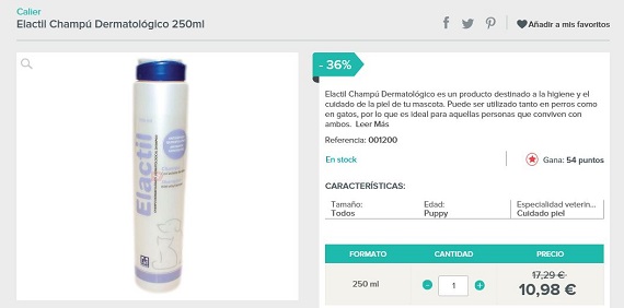 Champús dermatológicos para gatos