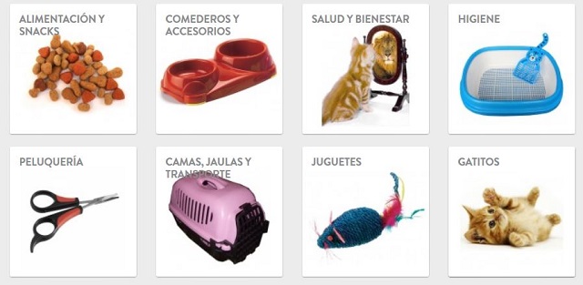 vetzona gatos